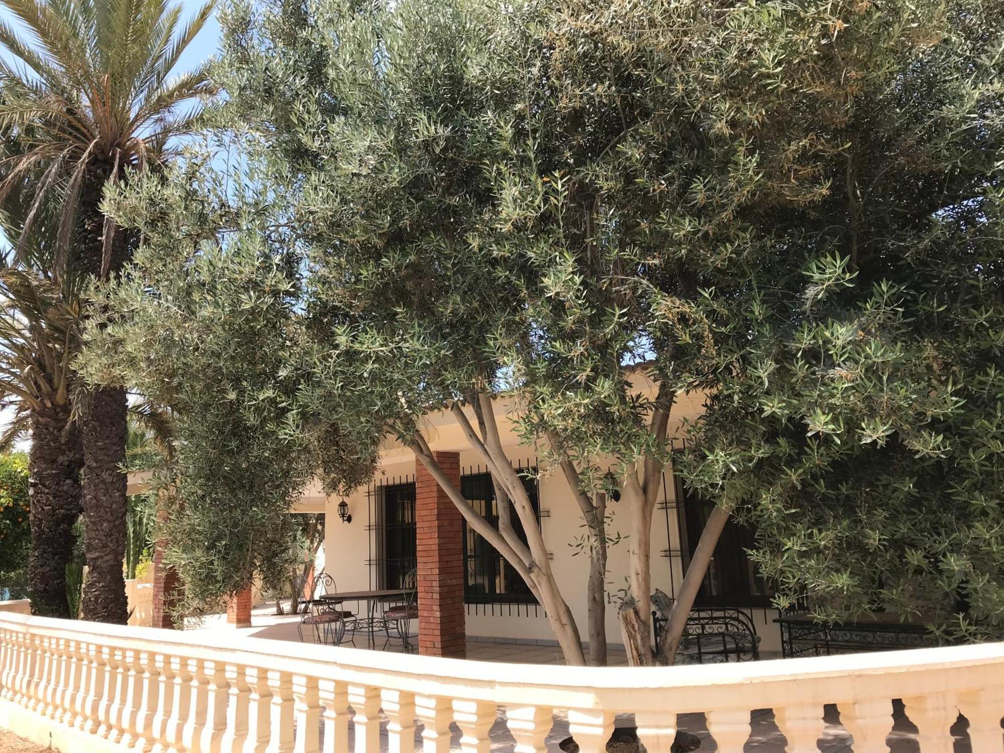 Tiguimi Vacances - Oasis Villas, Cadre Naturel Et Vue Montagne อกาดีร์ ภายนอก รูปภาพ