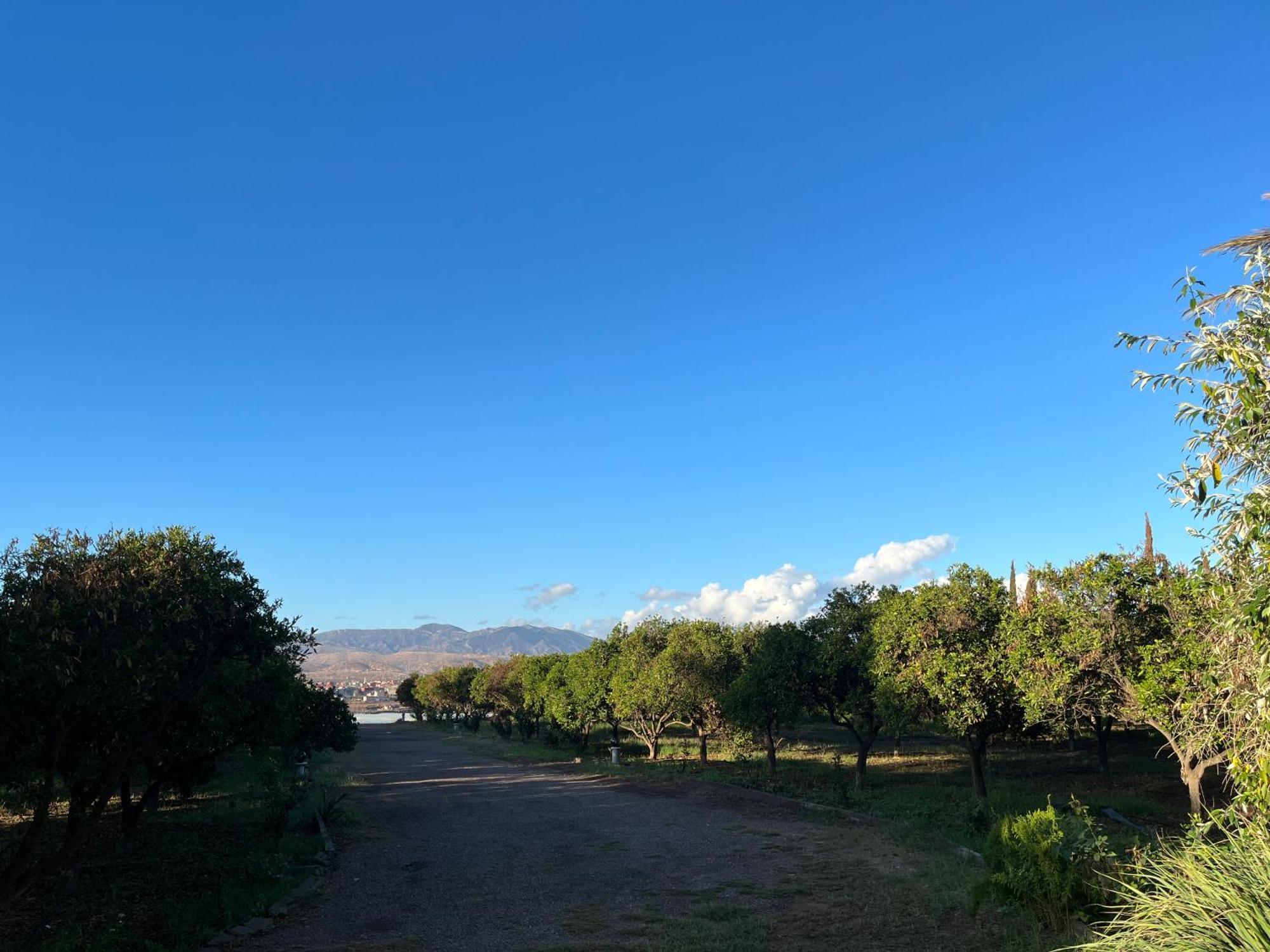 Tiguimi Vacances - Oasis Villas, Cadre Naturel Et Vue Montagne อกาดีร์ ภายนอก รูปภาพ
